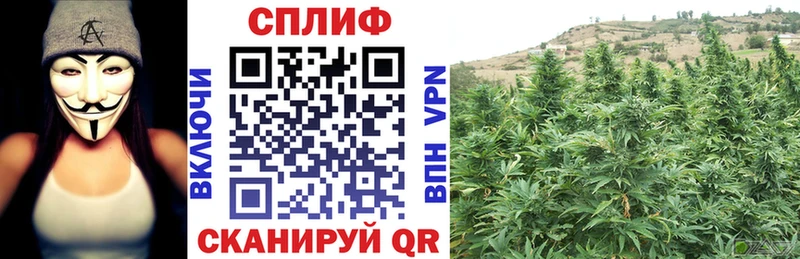 Наркошоп Сосновка Амфетамин  СК  МЕФ  Гашиш 